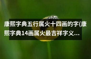 十四画的字|14画的字